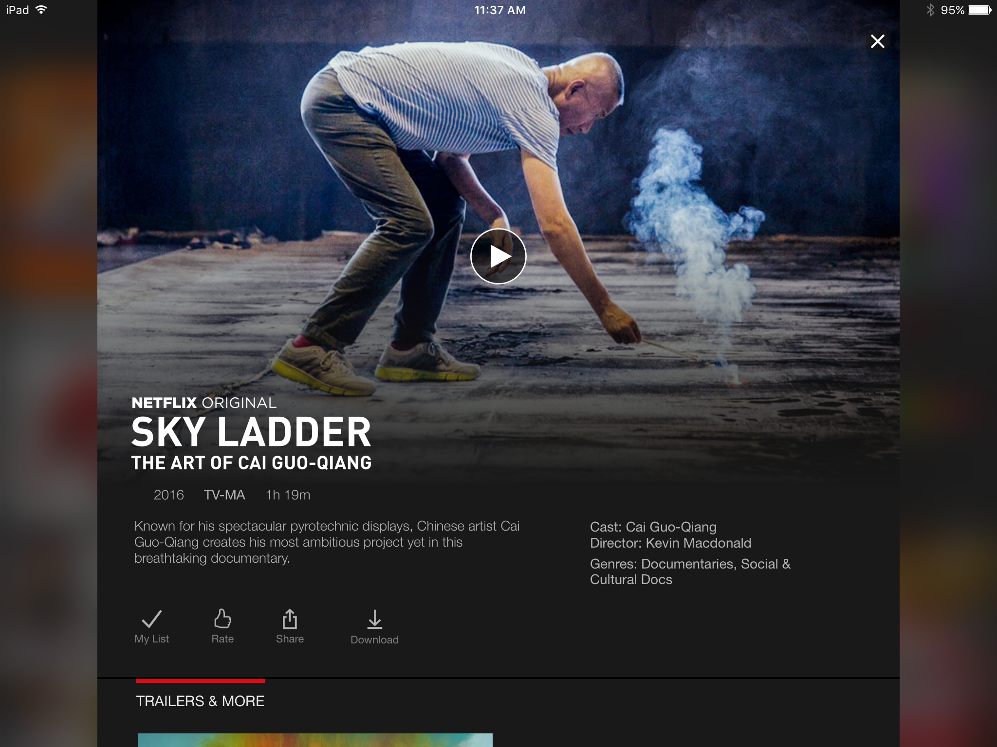 Netflix Video Details Screen iPad